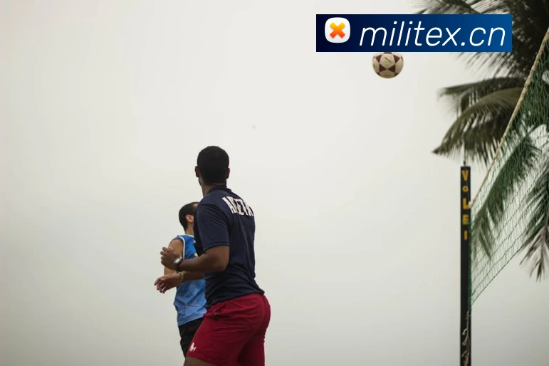 爱游戏最新首页登录发展历程